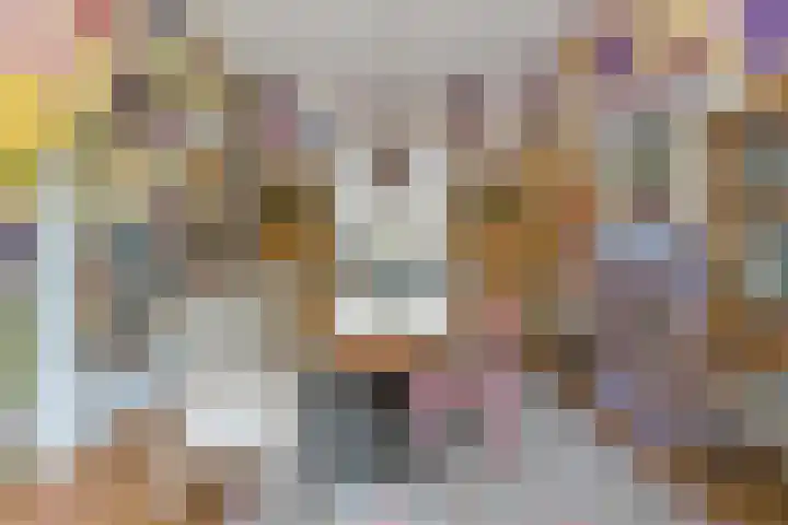 Laan van Meerdervoort 468 Den Haag thumbnail 16