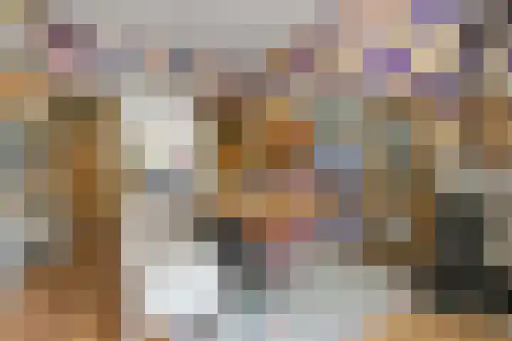 Laan van Meerdervoort 468 Den Haag thumbnail 17