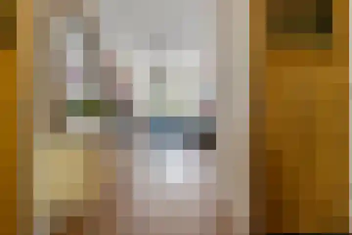 Laan van Meerdervoort 468 Den Haag thumbnail 18
