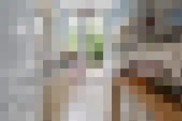 Laan van Meerdervoort 468 Den Haag thumbnail 21