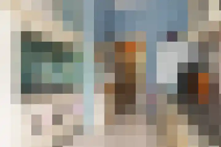 Laan van Meerdervoort 468 Den Haag thumbnail 25