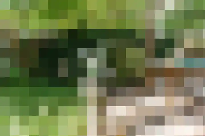 Laan van Meerdervoort 468 Den Haag thumbnail 27