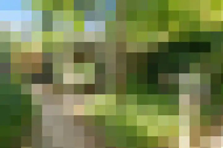 Laan van Meerdervoort 468 Den Haag thumbnail 28