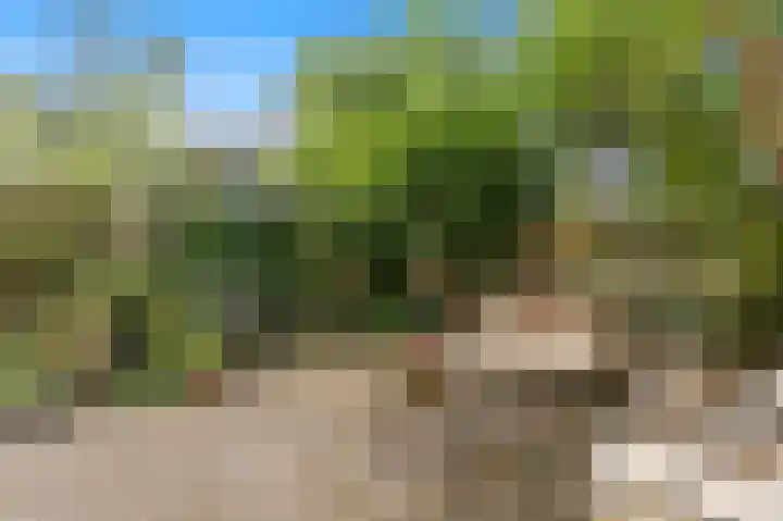 Laan van Meerdervoort 468 Den Haag thumbnail 30