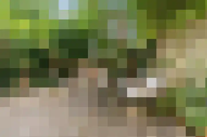 Laan van Meerdervoort 468 Den Haag thumbnail 31