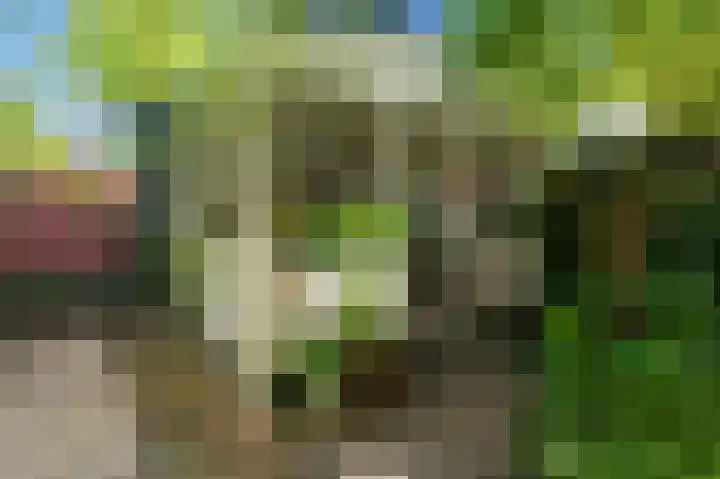 Laan van Meerdervoort 468 Den Haag thumbnail 32
