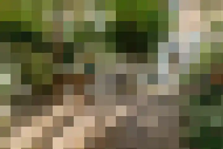 Laan van Meerdervoort 468 Den Haag thumbnail 33