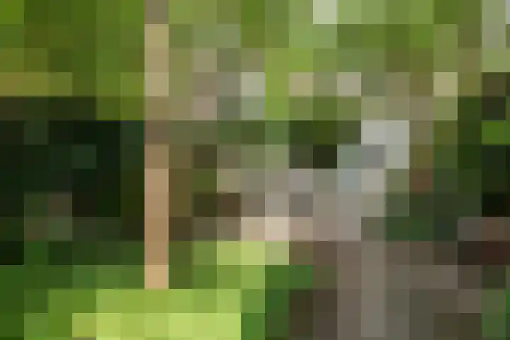 Laan van Meerdervoort 468 Den Haag thumbnail 34