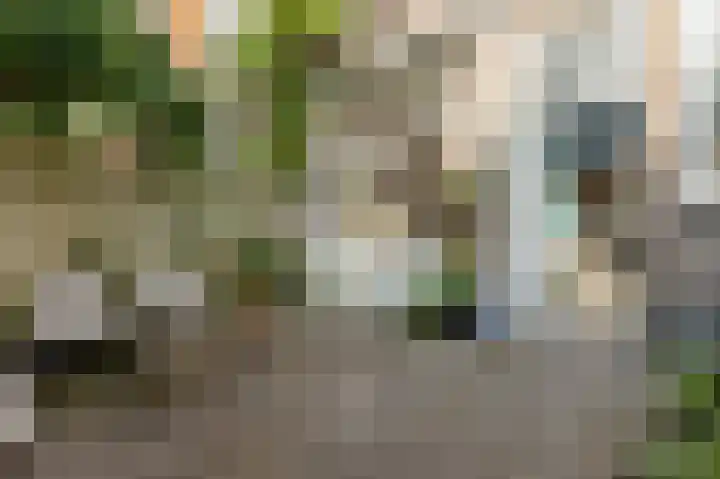 Laan van Meerdervoort 468 Den Haag thumbnail 35