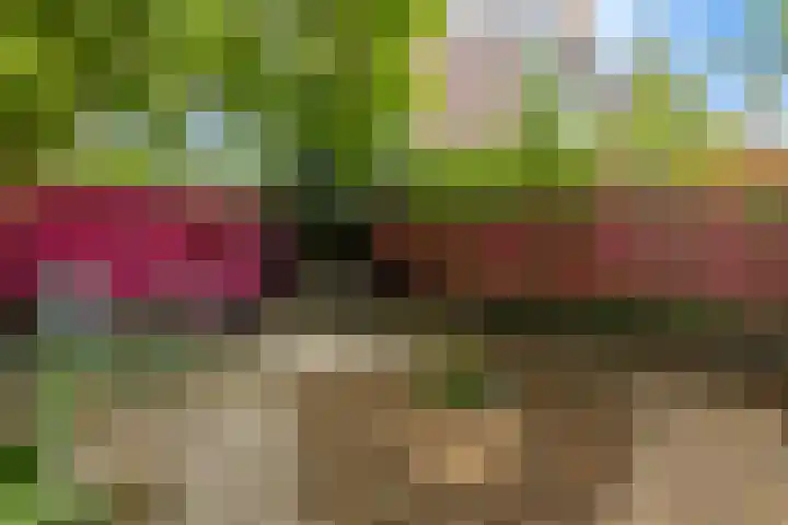 Laan van Meerdervoort 468 Den Haag thumbnail 36