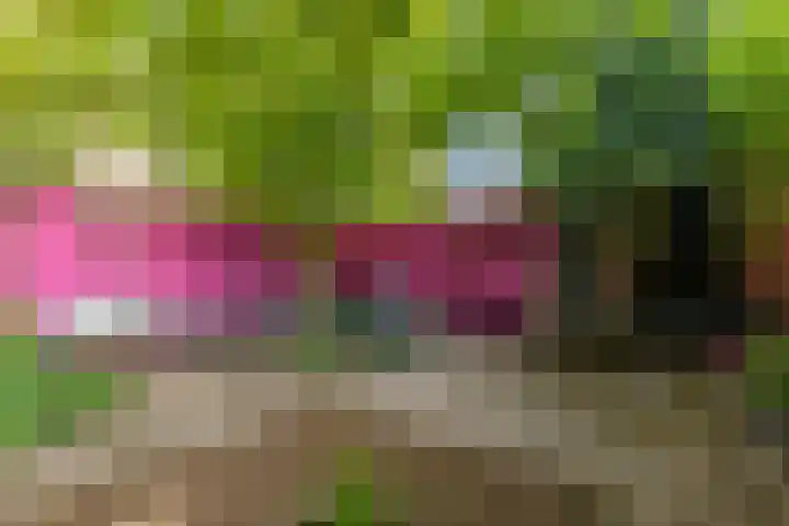 Laan van Meerdervoort 468 Den Haag thumbnail 37
