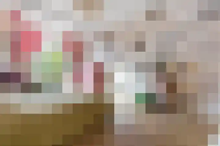 Laan van Meerdervoort 468 Den Haag thumbnail 40