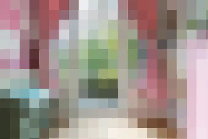 Laan van Meerdervoort 468 Den Haag thumbnail 41