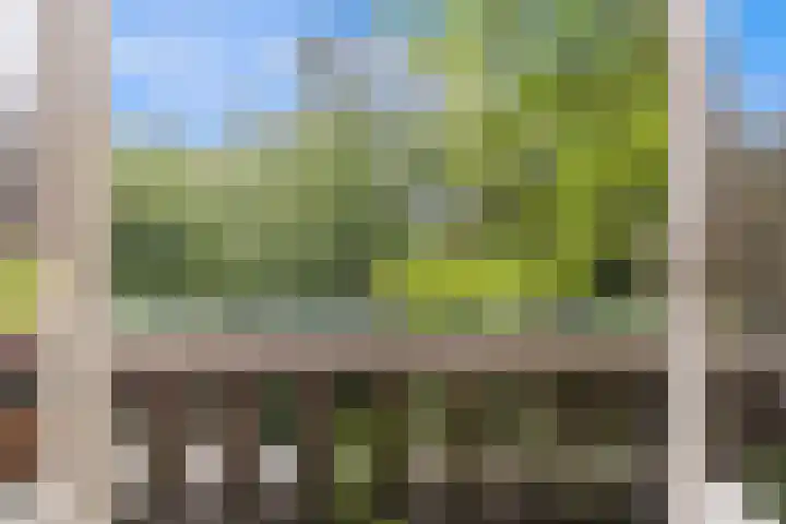 Laan van Meerdervoort 468 Den Haag thumbnail 43