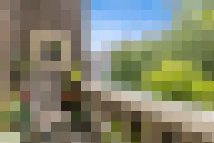 Laan van Meerdervoort 468 Den Haag thumbnail 44