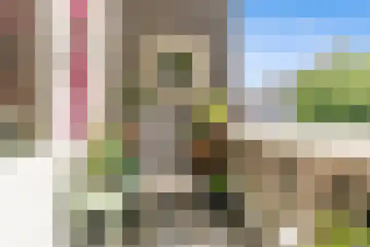 Laan van Meerdervoort 468 Den Haag thumbnail 45