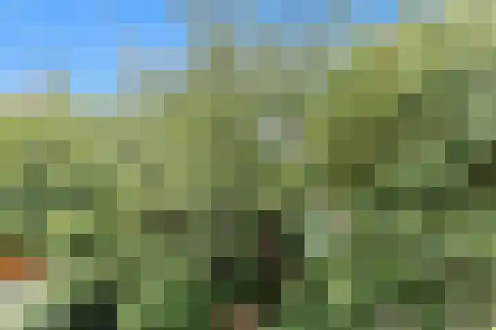 Laan van Meerdervoort 468 Den Haag thumbnail 46