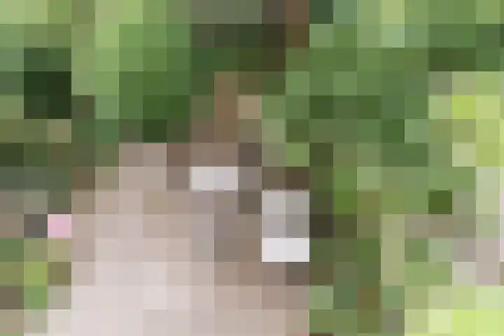 Laan van Meerdervoort 468 Den Haag thumbnail 47