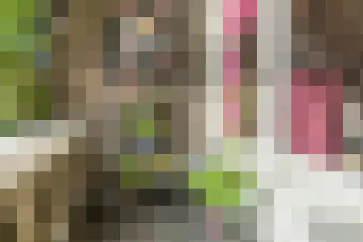 Laan van Meerdervoort 468 Den Haag thumbnail 48