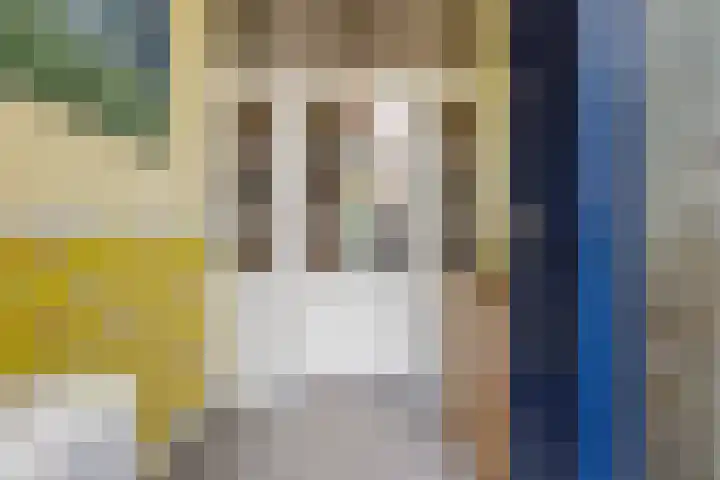 Laan van Meerdervoort 468 Den Haag thumbnail 5