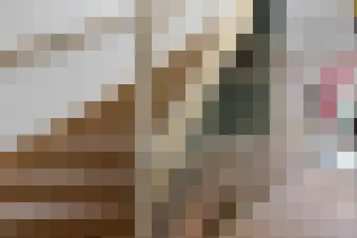 Laan van Meerdervoort 468 Den Haag thumbnail 50