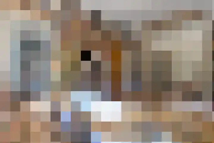 Laan van Meerdervoort 468 Den Haag thumbnail 58