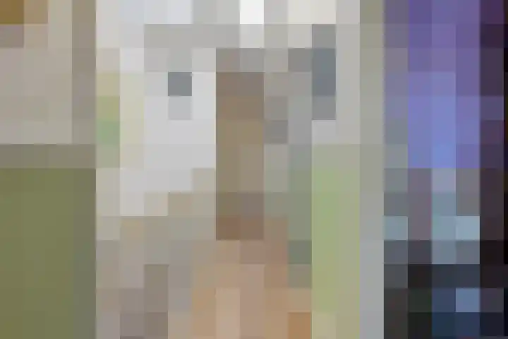 Laan van Meerdervoort 468 Den Haag thumbnail 64