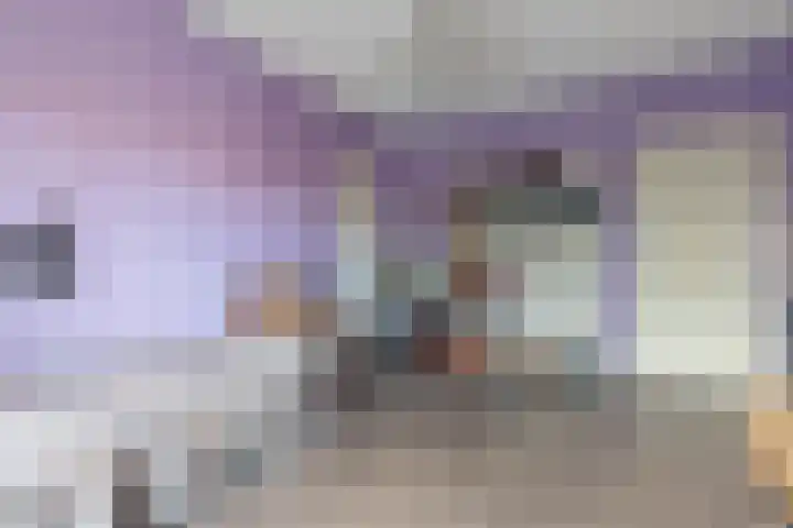 Laan van Meerdervoort 468 Den Haag thumbnail 69
