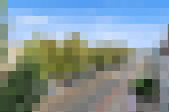Laan van Meerdervoort 468 Den Haag thumbnail 71