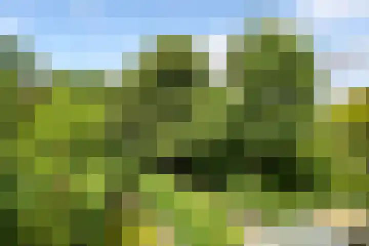 Laan van Meerdervoort 47 A Den Haag thumbnail 21
