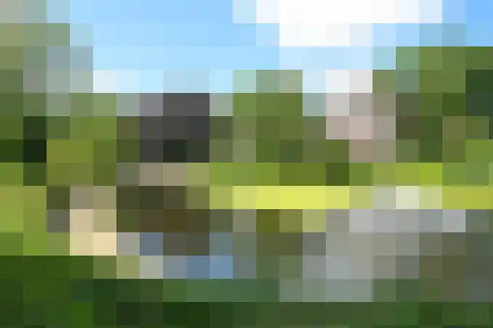 Laan van Meerdervoort 47 A Den Haag thumbnail 24