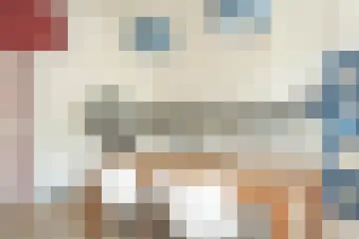 Laan van Meerdervoort 47 A Den Haag thumbnail 8