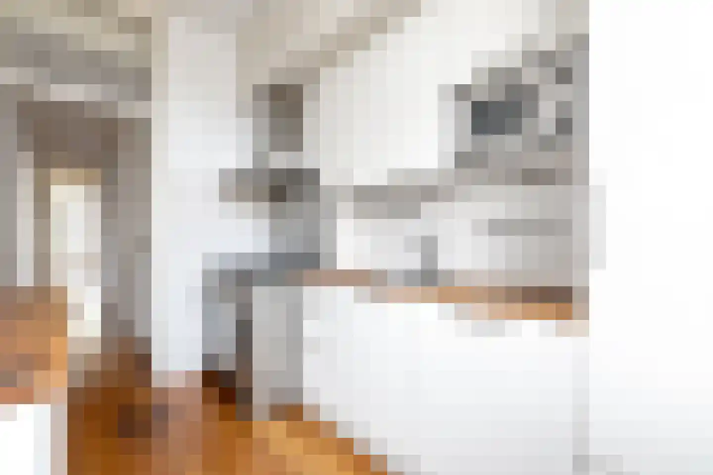 Laan van Meerdervoort 471 Den Haag thumbnail 49
