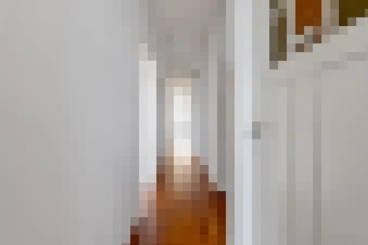Laan van Meerdervoort 471 Den Haag thumbnail 51