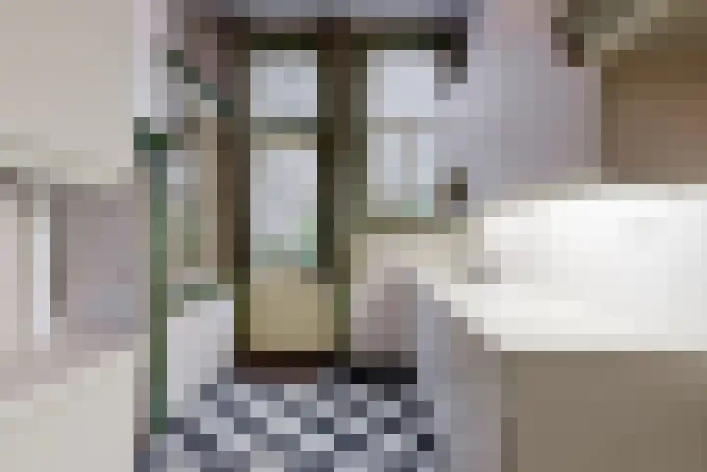 Laan van Meerdervoort 474 Den Haag thumbnail 10