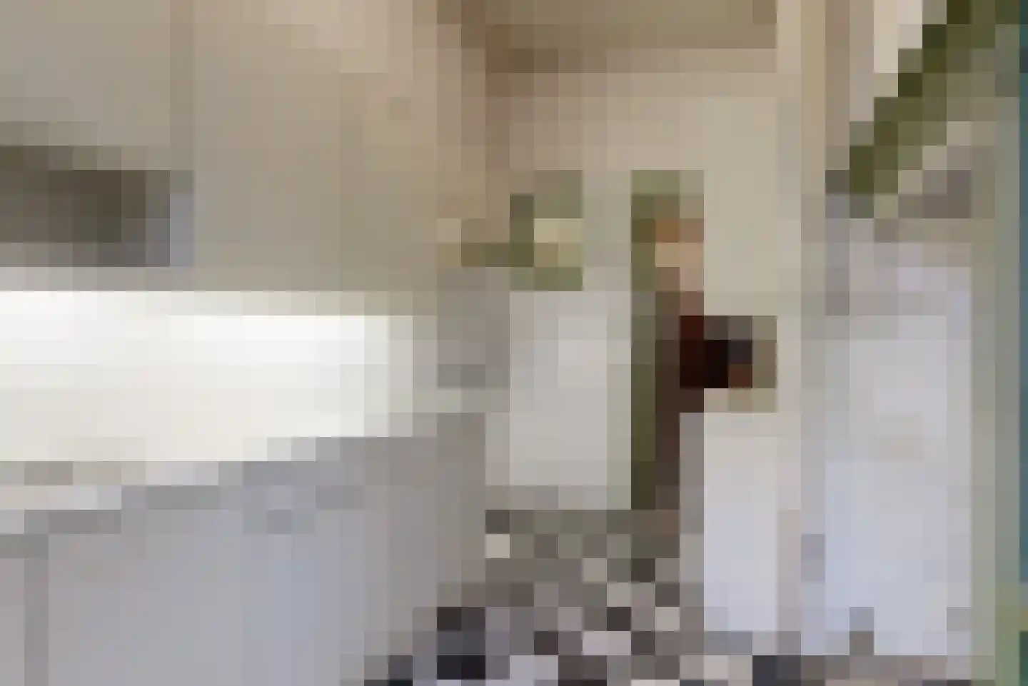 Laan van Meerdervoort 474 Den Haag thumbnail 11