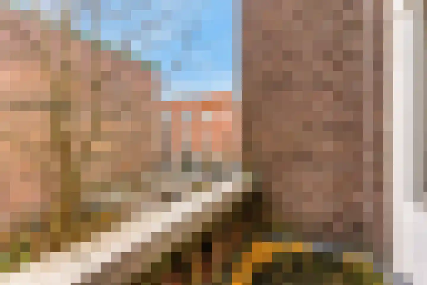 Laan van Meerdervoort 474 Den Haag thumbnail 19