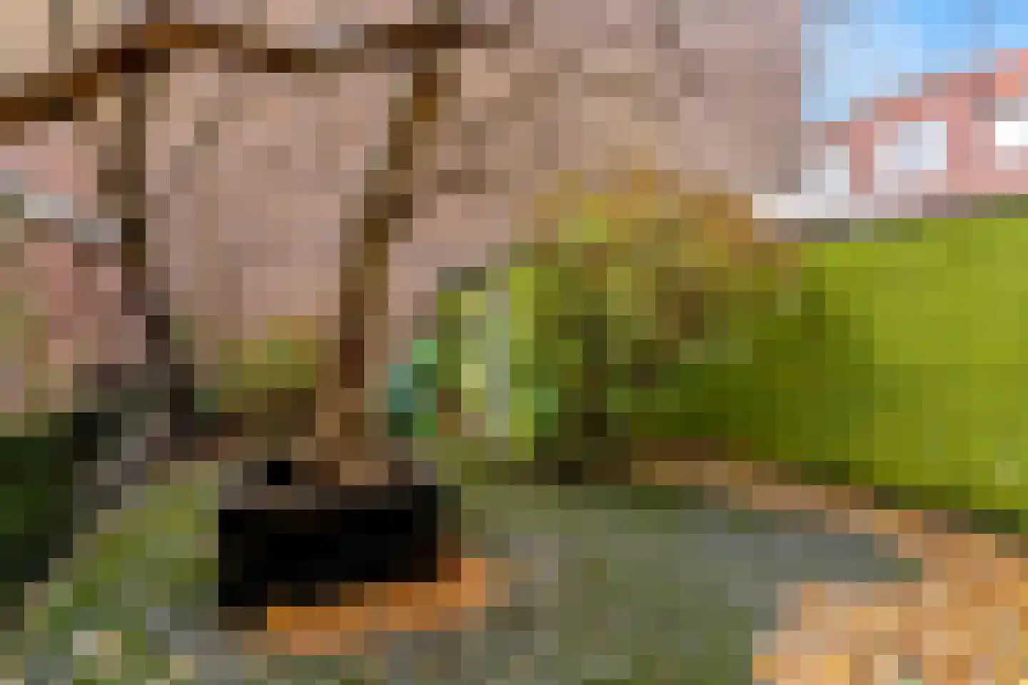 Laan van Meerdervoort 474 Den Haag thumbnail 4