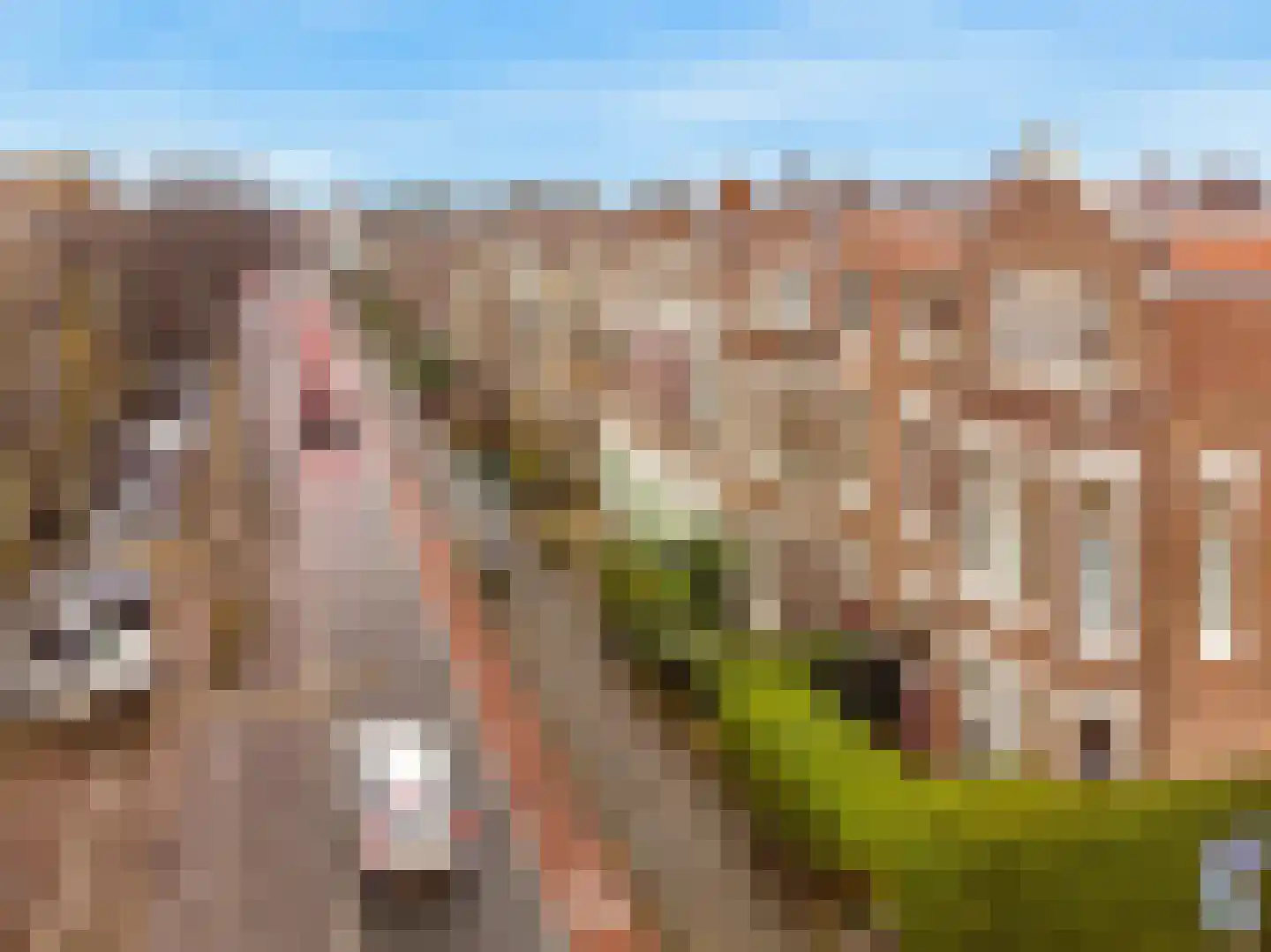 Laan van Meerdervoort 474 Den Haag thumbnail 42