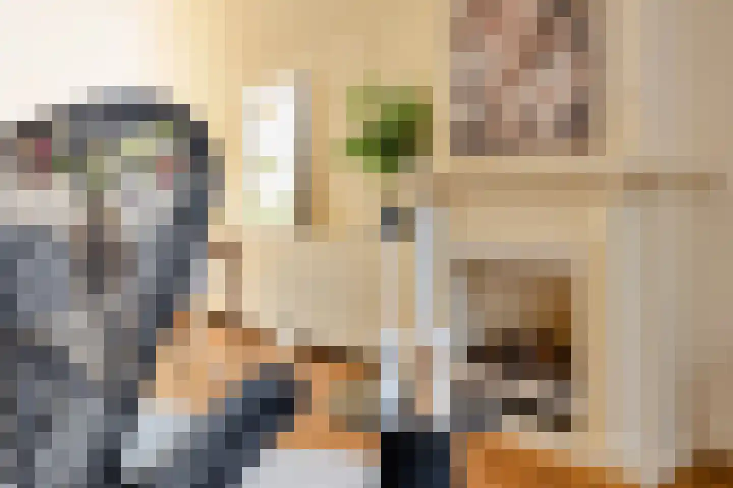 Laan van Meerdervoort 477 Den Haag thumbnail 12