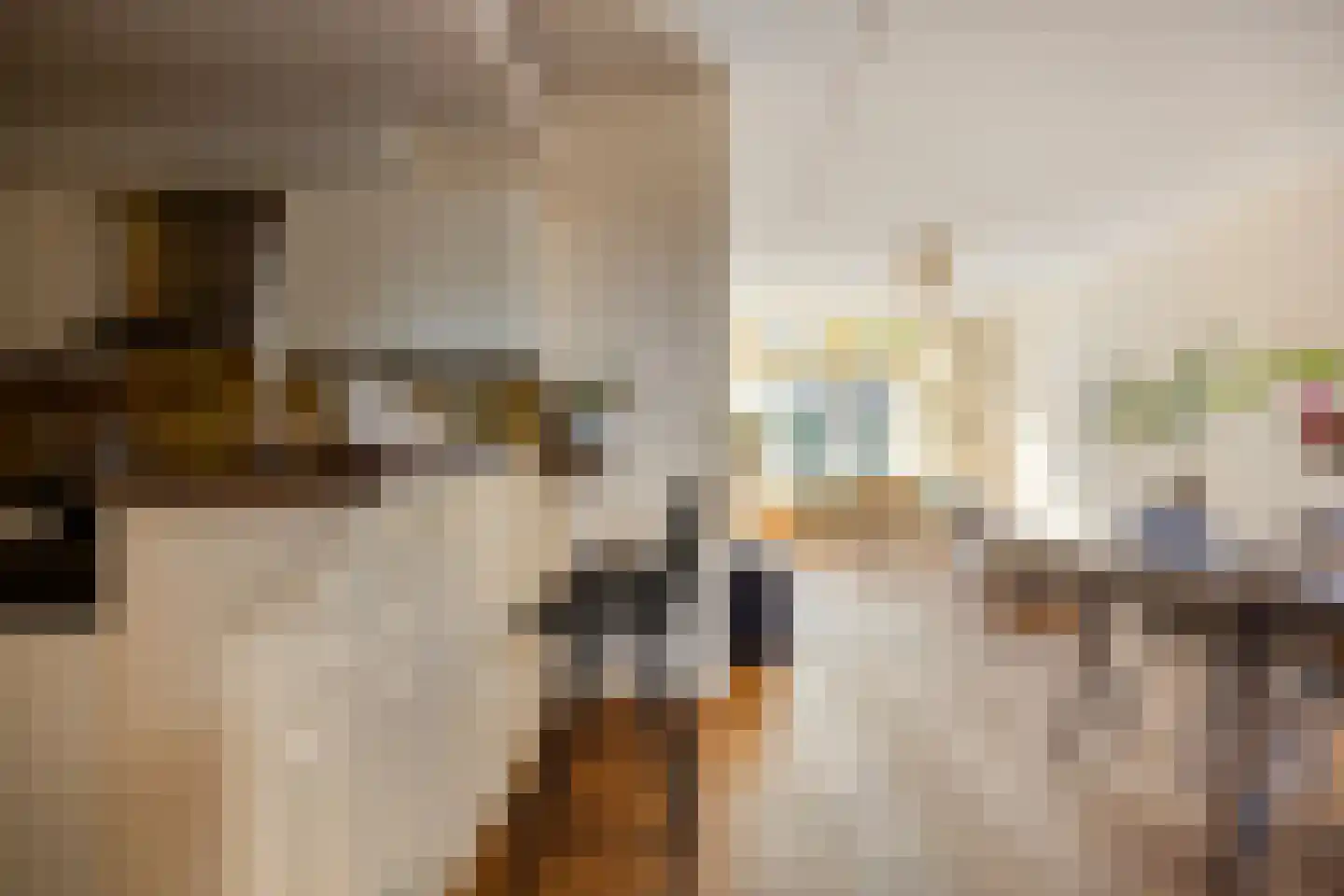Laan van Meerdervoort 477 Den Haag thumbnail 13