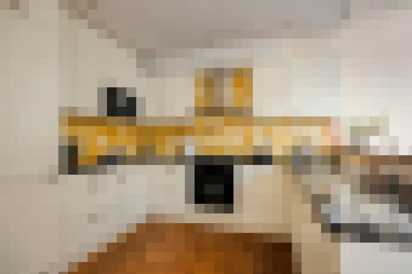 Laan van Meerdervoort 477 Den Haag thumbnail 14