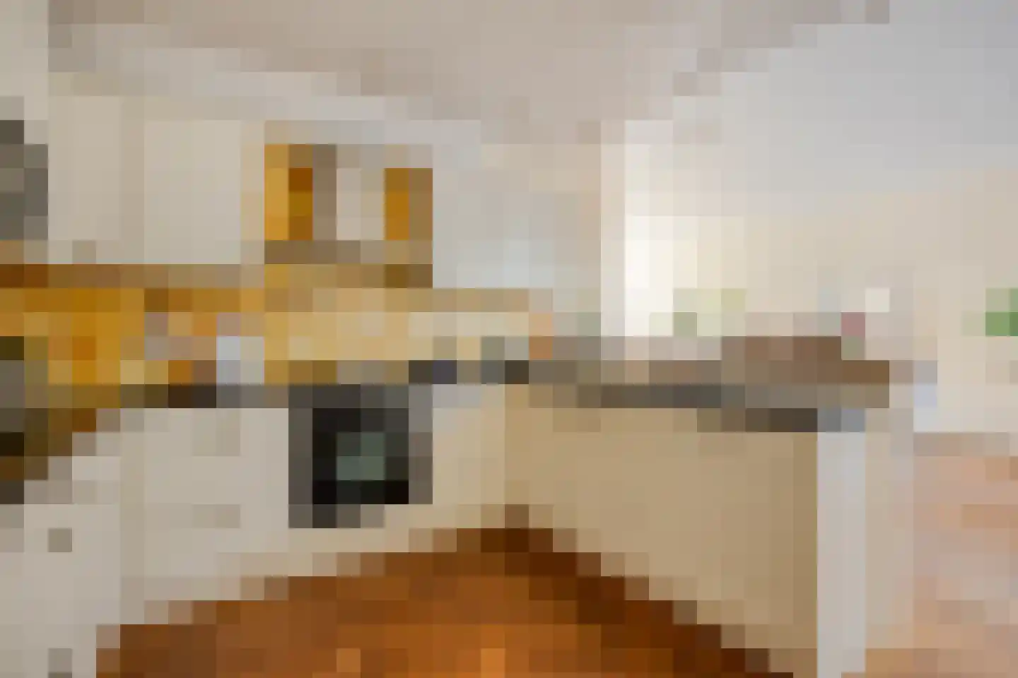 Laan van Meerdervoort 477 Den Haag thumbnail 15
