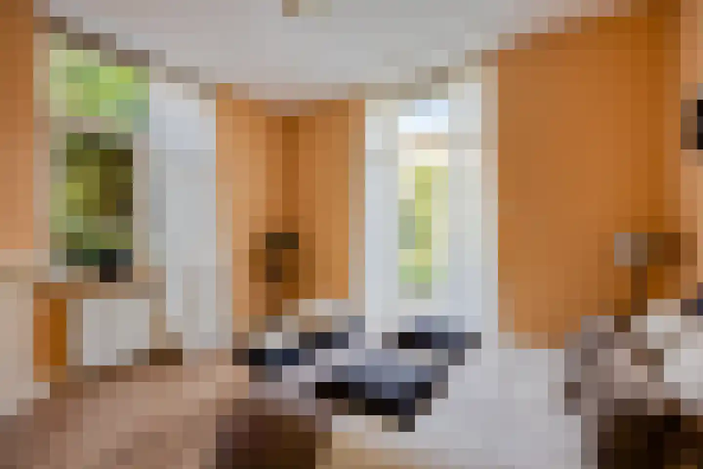 Laan van Meerdervoort 477 Den Haag thumbnail 17