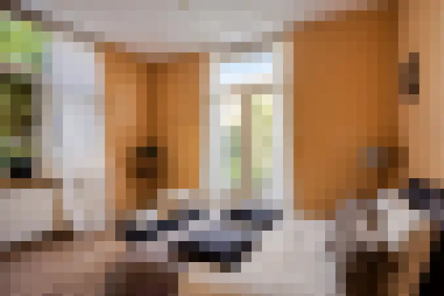Laan van Meerdervoort 477 Den Haag thumbnail 19