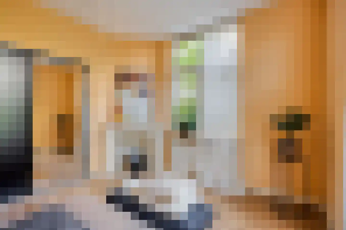 Laan van Meerdervoort 477 Den Haag thumbnail 21