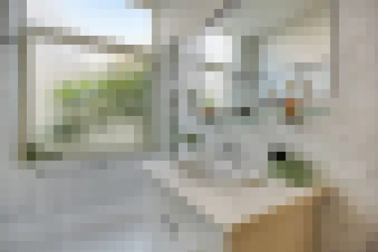 Laan van Meerdervoort 477 Den Haag thumbnail 23
