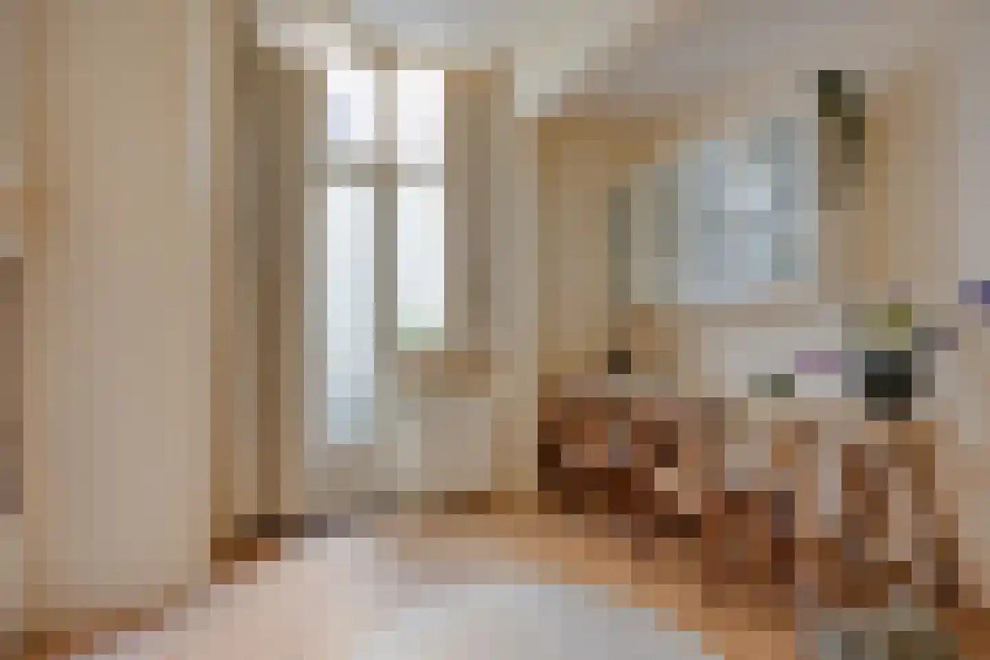 Laan van Meerdervoort 477 Den Haag thumbnail 25