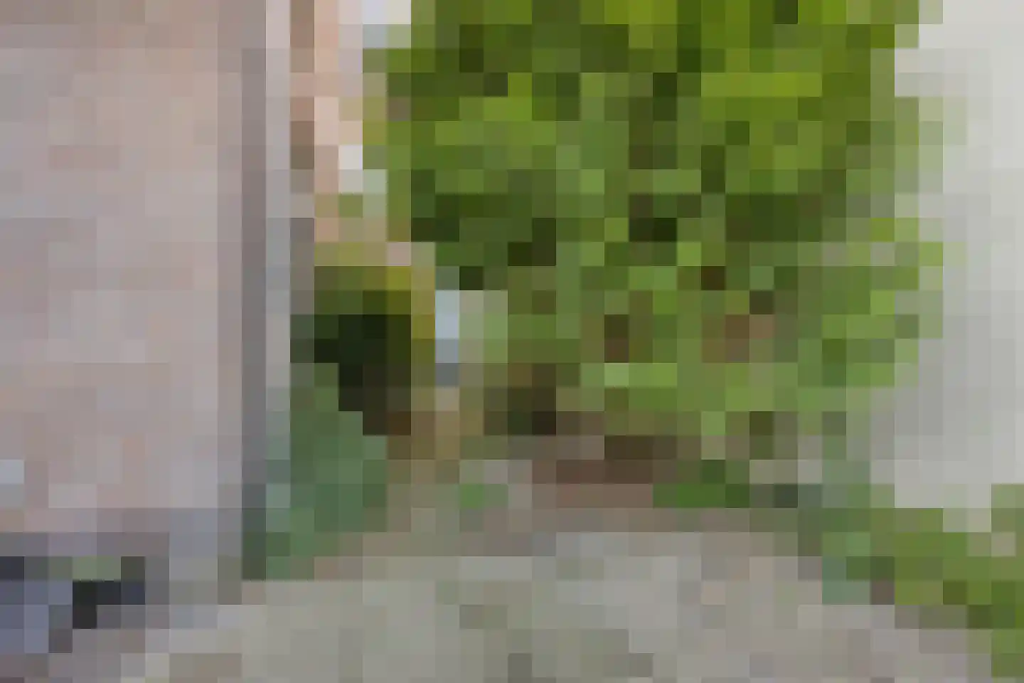 Laan van Meerdervoort 477 Den Haag thumbnail 29