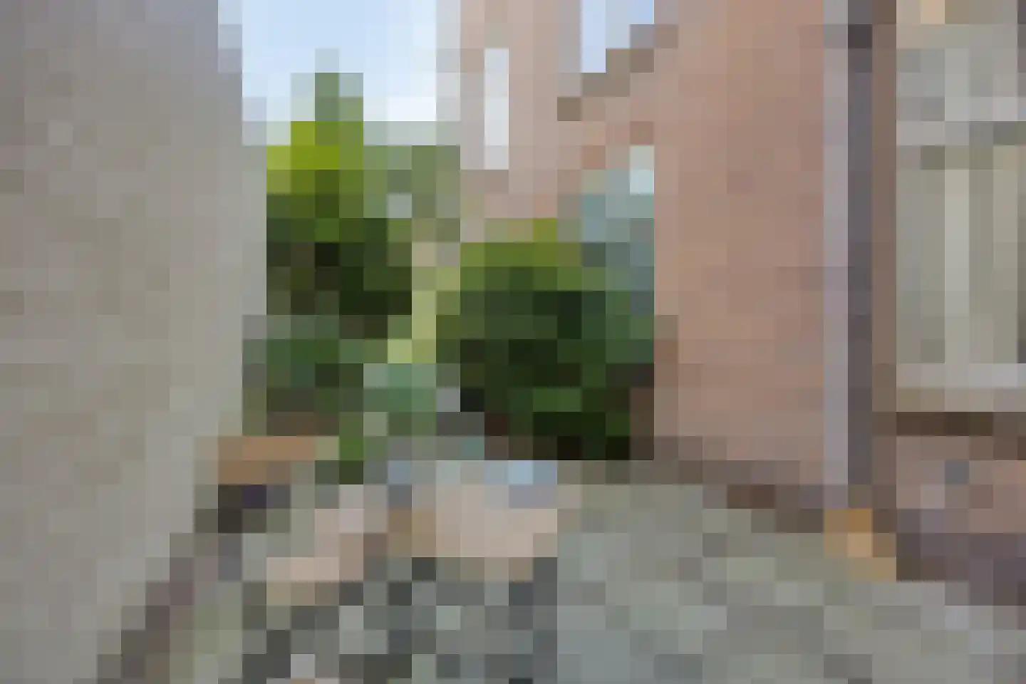 Laan van Meerdervoort 477 Den Haag thumbnail 31